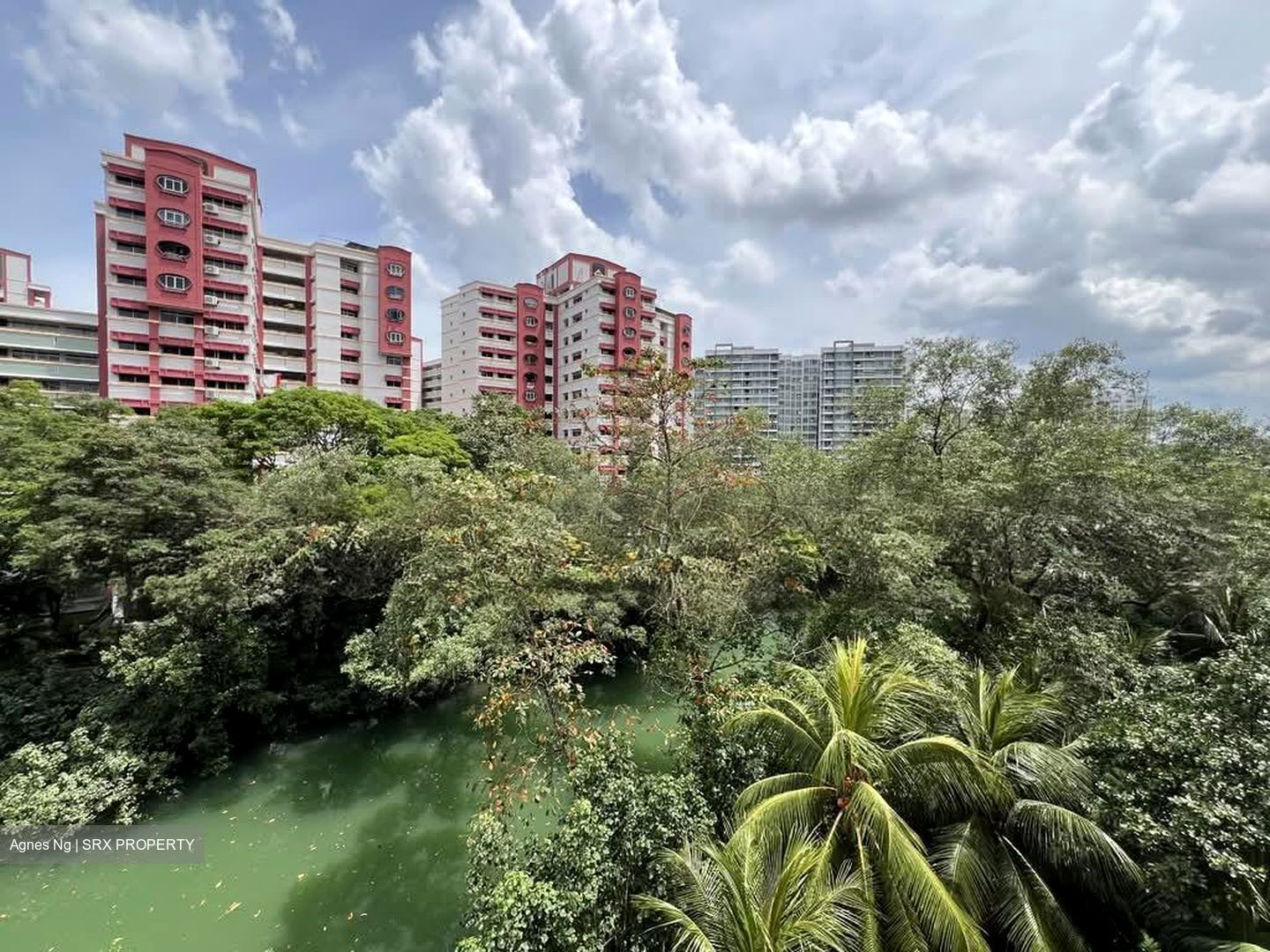 Blk 611 Elias Road (Pasir Ris), HDB 5 Rooms #566620821